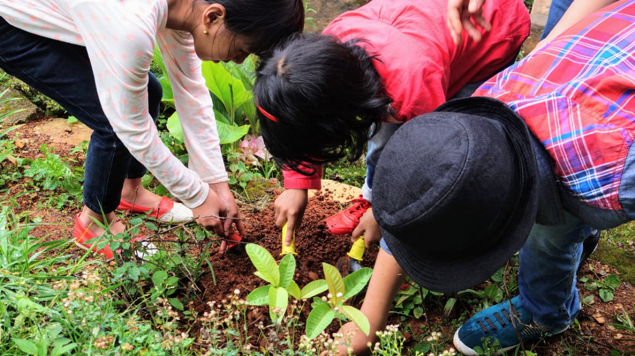 WhatsApp-Image-2019-06-05-at-1.08.36-PM