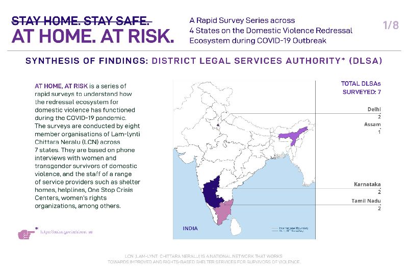 AtHomeAtRisk-Rapid Survey-DLSA_Artboard-01