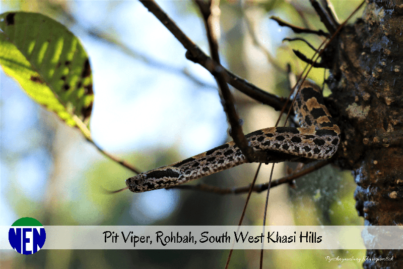 Photo Exhibition (6)