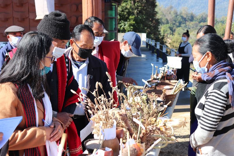 Seed exhibition – Copy