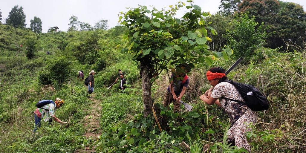 World Environment Day Celebrated in Nagaland – North East Network