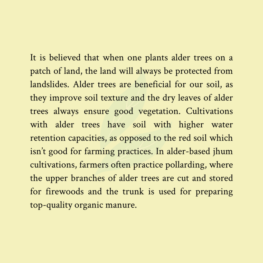 Alder-Based Jhum Cultivation